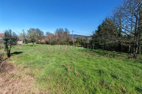 Helårsgrund i Mangualde, Viseu, Mangualde - € 53.000 | Ref: 389260037 - foto 3