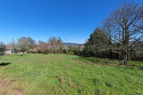 Helårsgrund i Mangualde, Viseu, Mangualde - € 53.000 | Ref: 389260037 - foto 4