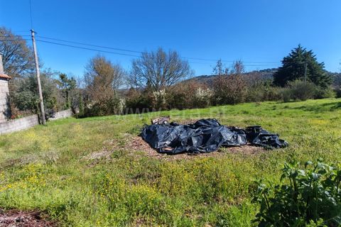 Helårsgrund i Mangualde, Viseu, Mangualde - € 53.000 | Ref: 389260037 - foto 5