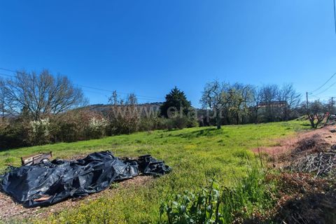 Helårsgrund i Mangualde, Viseu, Mangualde - € 53.000 | Ref: 389260037 - foto 6