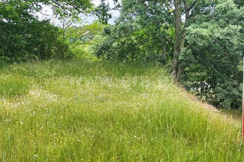 Helårsgrund i Mangualde, Viseu, Mangualde - € 53.000 | Ref: 389260037 - foto 7
