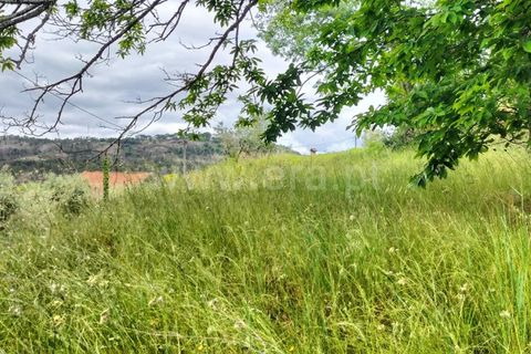 Helårsgrund i Mangualde, Viseu, Mangualde - € 53.000 | Ref: 389260037 - foto 8
