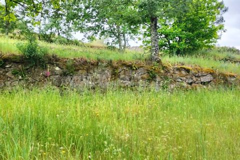 Helårsgrund i Mangualde, Viseu, Mangualde - € 53.000 | Ref: 389260037 - foto 9