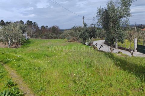 Terra a Satao, Viseu, Satao - € 32.080 | Ref: 389260031 - foto 2