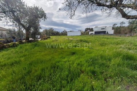 Terra a Satao, Viseu, Satao - € 32.080 | Ref: 389260031 - foto 4