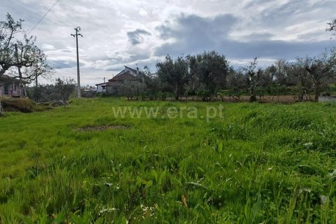 Terra a Satao, Viseu, Satao - € 32.080 | Ref: 389260031 - foto 6