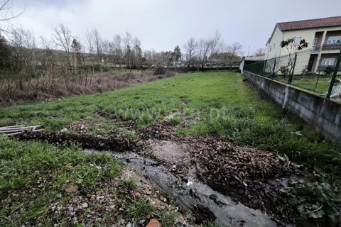Helårsgrund i Mangualde, Viseu, Mangualde - € 39.000 | Ref: 389260032 - foto 5