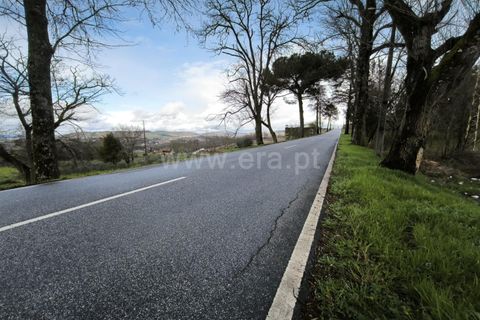 Helårsgrund i Mangualde, Viseu, Mangualde - € 39.000 | Ref: 389260032 - foto 6