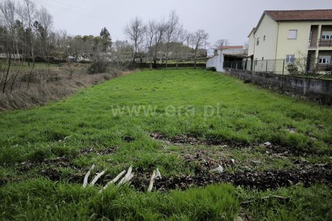 Helårsgrund i Mangualde, Viseu, Mangualde - € 39.000 | Ref: 389260032 - foto 7