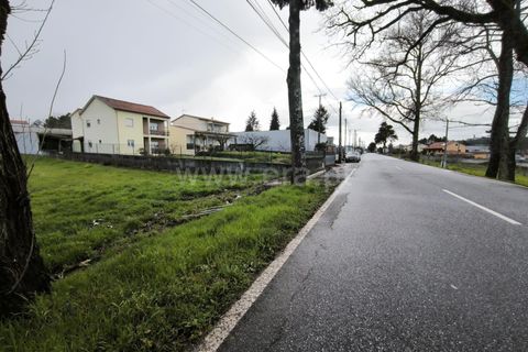Helårsgrund i Mangualde, Viseu, Mangualde - € 39.000 | Ref: 389260032 - foto 9