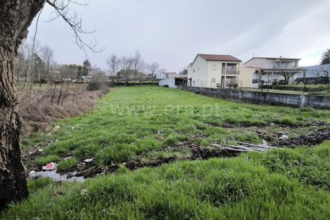 Helårsgrund i Mangualde, Viseu, Mangualde - € 39.000 | Ref: 389260032 - foto 10