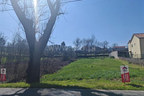 Helårsgrund i Mangualde, Viseu, Mangualde - € 39.000 | Ref: 389260032 - foto 14