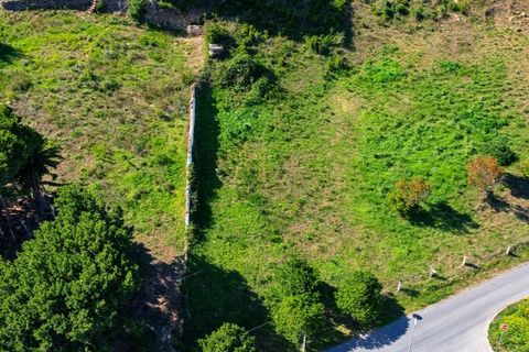 Helårsgrund i Nazare, Leiria, Nazare - € 110.000 | Ref: TER_862 - foto 5