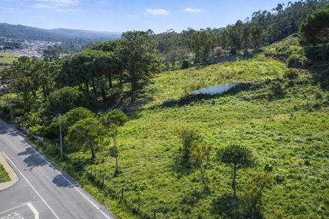 Helårsgrund i Nazare, Leiria, Nazare - € 110.000 | Ref: TER_862 - foto 7