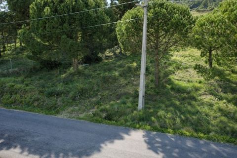 Helårsgrund i Nazare, Leiria, Nazare - € 110.000 | Ref: TER_862 - foto 13