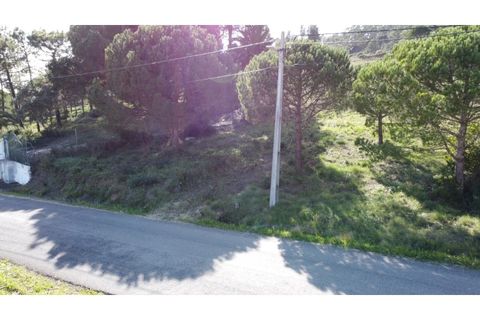 Helårsgrund i Nazare, Leiria, Nazare - € 110.000 | Ref: TER_862 - foto 16