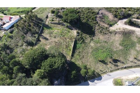 Helårsgrund i Nazare, Leiria, Nazare - € 110.000 | Ref: TER_862 - foto 17