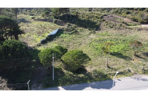 Helårsgrund i Nazare, Leiria, Nazare - € 110.000 | Ref: TER_862 - foto 19