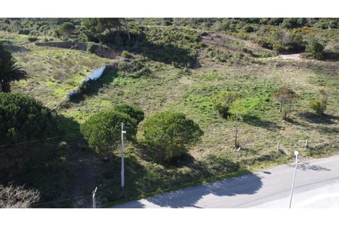 Helårsgrund i Nazare, Leiria, Nazare - € 110.000 | Ref: TER_862 - foto 20