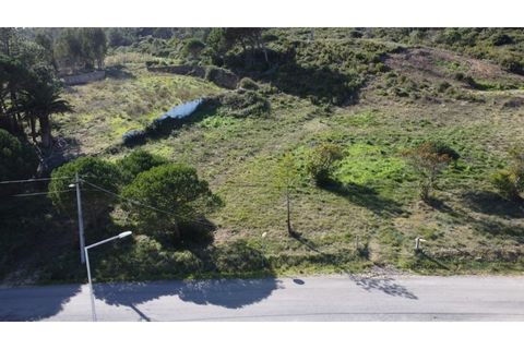 Helårsgrund i Nazare, Leiria, Nazare - € 110.000 | Ref: TER_862 - foto 21