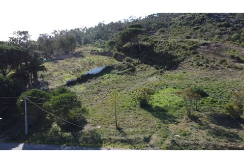 Helårsgrund i Nazare, Leiria, Nazare - € 110.000 | Ref: TER_862 - foto 22