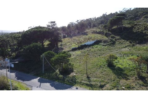 Helårsgrund i Nazare, Leiria, Nazare - € 110.000 | Ref: TER_862 - foto 23