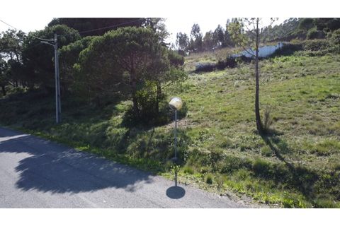 Helårsgrund i Nazare, Leiria, Nazare - € 110.000 | Ref: TER_862 - foto 24