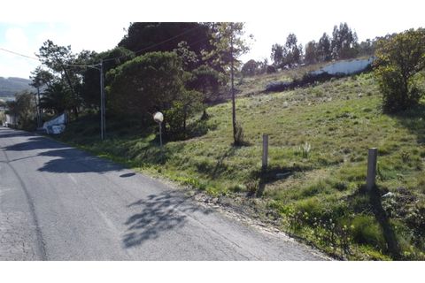 Helårsgrund i Nazare, Leiria, Nazare - € 110.000 | Ref: TER_862 - foto 25