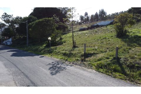 Helårsgrund i Nazare, Leiria, Nazare - € 110.000 | Ref: TER_862 - foto 26
