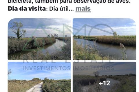 Villa a Estarreja, Aveiro, Estarreja - € 85.000 | Ref: AMO-000042/26 - foto 7