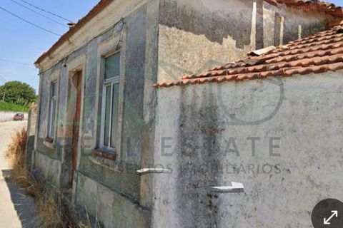 Villa a Estarreja, Aveiro, Estarreja - € 75.000 | Ref: AMO-000043/26 - foto 2