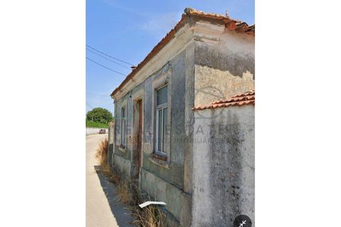 Villa a Estarreja, Aveiro, Estarreja - € 75.000 | Ref: AMO-000043/26 - foto 3