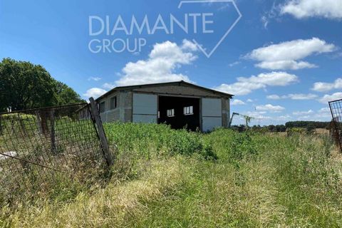 Terra a Acquapendente, Viterbo, Acquapendente - € 480.000 | Ref: AZ403 - foto 2