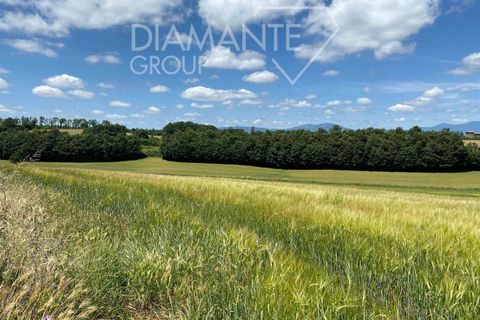 Terra a Acquapendente, Viterbo, Acquapendente - € 480.000 | Ref: AZ403 - foto 3