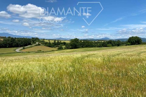 Terra a Acquapendente, Viterbo, Acquapendente - € 480.000 | Ref: AZ403 - foto 4