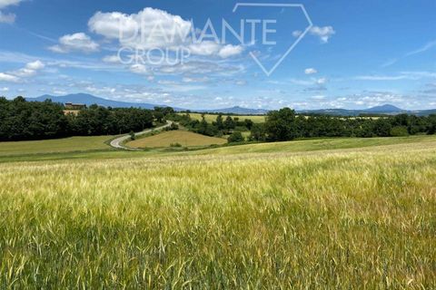 Terra a Acquapendente, Viterbo, Acquapendente - € 480.000 | Ref: AZ403 - foto 5