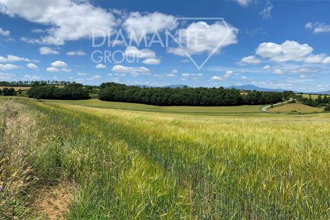 Terra a Acquapendente, Viterbo, Acquapendente - € 480.000 | Ref: AZ403 - foto 6