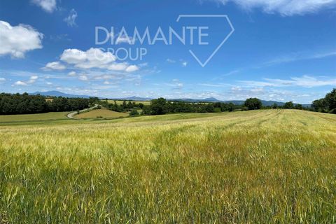 Terra a Acquapendente, Viterbo, Acquapendente - € 480.000 | Ref: AZ403 - foto 7
