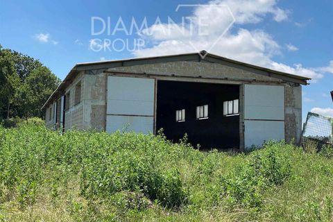 Terra a Acquapendente, Viterbo, Acquapendente - € 480.000 | Ref: AZ403 - foto 9