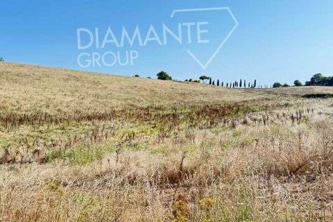 Tomt i Acquapendente, Viterbo, Acquapendente - € 1 100 000 | Ref: AZ404 - foto 3