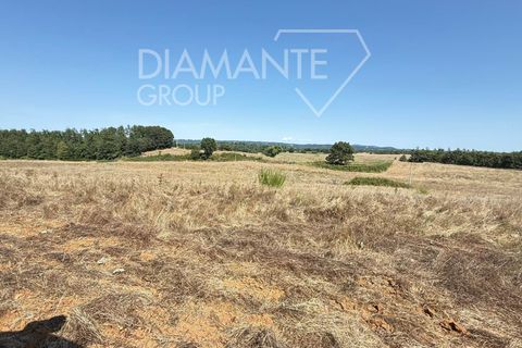 Tomt i Acquapendente, Viterbo, Acquapendente - € 1 100 000 | Ref: AZ404 - foto 6