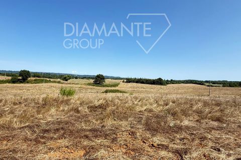 Tomt i Acquapendente, Viterbo, Acquapendente - € 1 100 000 | Ref: AZ404 - foto 7