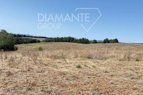 Tomt i Acquapendente, Viterbo, Acquapendente - € 1 100 000 | Ref: AZ404 - foto 9