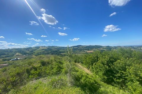 Villa i Roncofreddo, Forli-Cesena, Roncofreddo - € 295.000 | Ref: G-NC-058 - foto 12