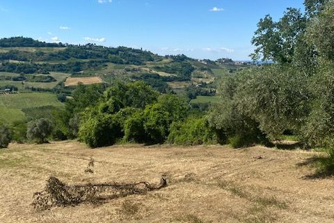 Villa i Roncofreddo, Forli-Cesena, Roncofreddo - € 295.000 | Ref: G-NC-058 - foto 14