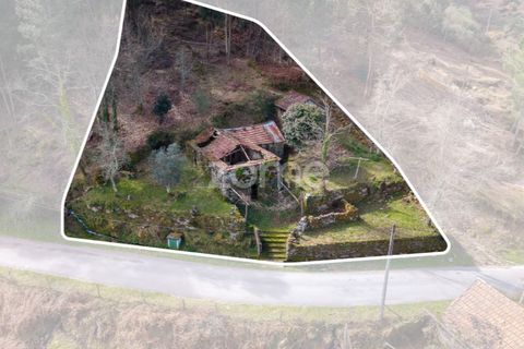 Villa i Cinfaes, Viseu, Cinfaes - € 59.000 | Ref: ZMPT586807 - foto 2