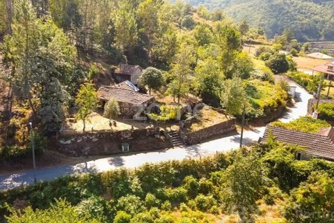 Villa i Cinfaes, Viseu, Cinfaes - € 59.000 | Ref: ZMPT586807 - foto 4
