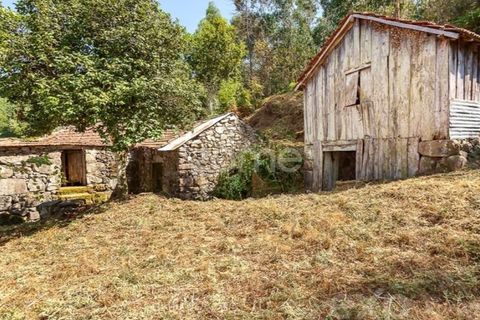 Villa i Cinfaes, Viseu, Cinfaes - € 59.000 | Ref: ZMPT586807 - foto 5