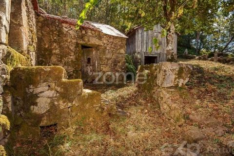 Villa i Cinfaes, Viseu, Cinfaes - € 59.000 | Ref: ZMPT586807 - foto 6