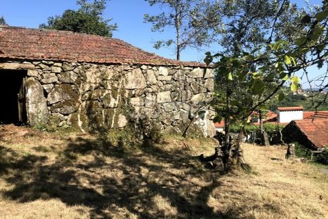 Villa i Cinfaes, Viseu, Cinfaes - € 59.000 | Ref: ZMPT586807 - foto 7